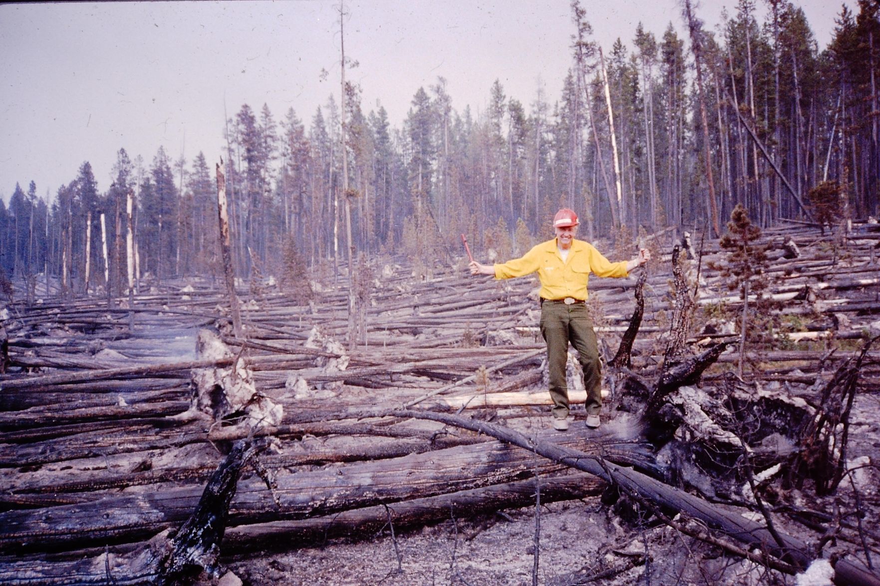 In the burn area